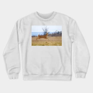 Deer Run - White-tailed deer Crewneck Sweatshirt